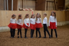 2019-Stallweihnacht-0079