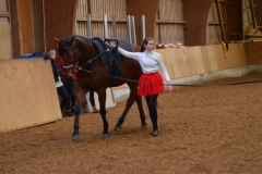 2019-Stallweihnacht-0093