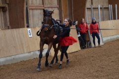 2019-Stallweihnacht-0095