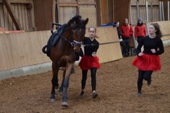 2019-Stallweihnacht-0096