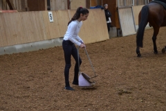 2019-Stallweihnacht-0100