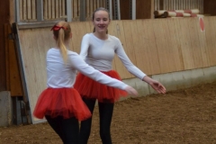 2019-Stallweihnacht-0114