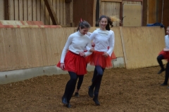 2019-Stallweihnacht-0119