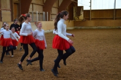 2019-Stallweihnacht-0121