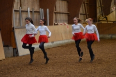 2019-Stallweihnacht-0141