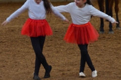 2019-Stallweihnacht-0145