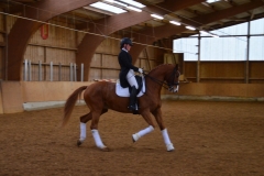 2019-Stallweihnacht-0151