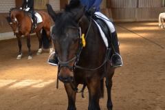 2019-Vereinsmeisterschaft-0025