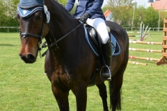 2019-Vereinsmeisterschaft-0086