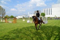 2019-Vereinsmeisterschaft-0142