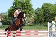 2020-ReitkurseJuni-0010