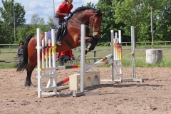 2020-ReitkurseJuni-0012