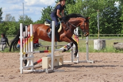 2020-ReitkurseJuni-0014