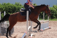 2020-ReitkurseJuni-0015