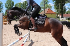 2020-ReitkurseJuni-0019