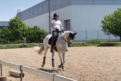 2020-ReitkurseJuni-0026
