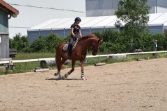 2020-ReitkurseJuni-0028