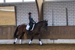 2020-ReitkurseJuni-0030