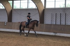 2020-ReitkurseJuni-0036