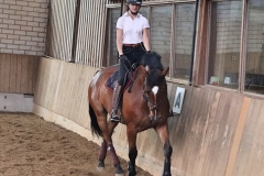 2020-ReitkurseJuni-0038