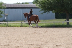 2020-ReitkurseJuni-0043