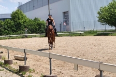 2020-ReitkurseJuni-0044