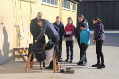 2022-Reitabzeichen-0005
