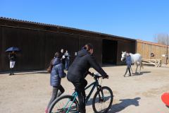 2022-Reitabzeichen-0019