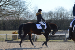 2022-Reitabzeichen-0037
