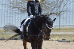 2022-Reitabzeichen-0039