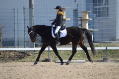 2022-Reitabzeichen-0040