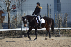 2022-Reitabzeichen-0041