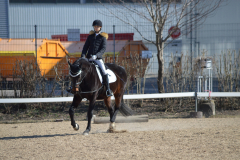 2022-Reitabzeichen-0042