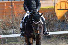 2022-Reitabzeichen-0043