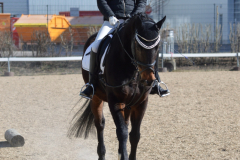 2022-Reitabzeichen-0045
