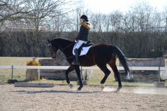 2022-Reitabzeichen-0046