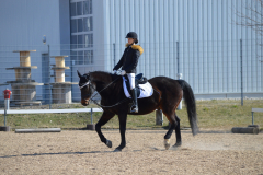 2022-Reitabzeichen-0047