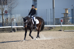 2022-Reitabzeichen-0048