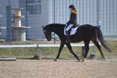 2022-Reitabzeichen-0049