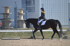 2022-Reitabzeichen-0050