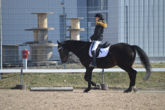 2022-Reitabzeichen-0051
