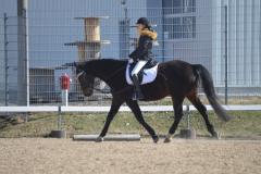 2022-Reitabzeichen-0052