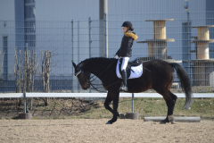 2022-Reitabzeichen-0053