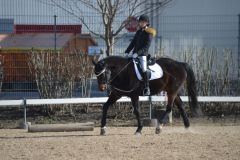 2022-Reitabzeichen-0054
