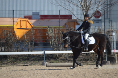 2022-Reitabzeichen-0055