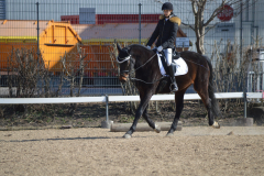 2022-Reitabzeichen-0056