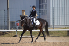 2022-Reitabzeichen-0061