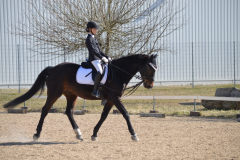 2022-Reitabzeichen-0062