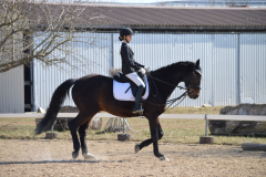 2022-Reitabzeichen-0064