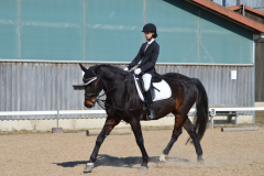 2022-Reitabzeichen-0066
